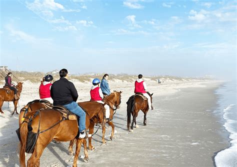 horseback riding on the beach jacksonville fl|horseback riding amelia island fl.